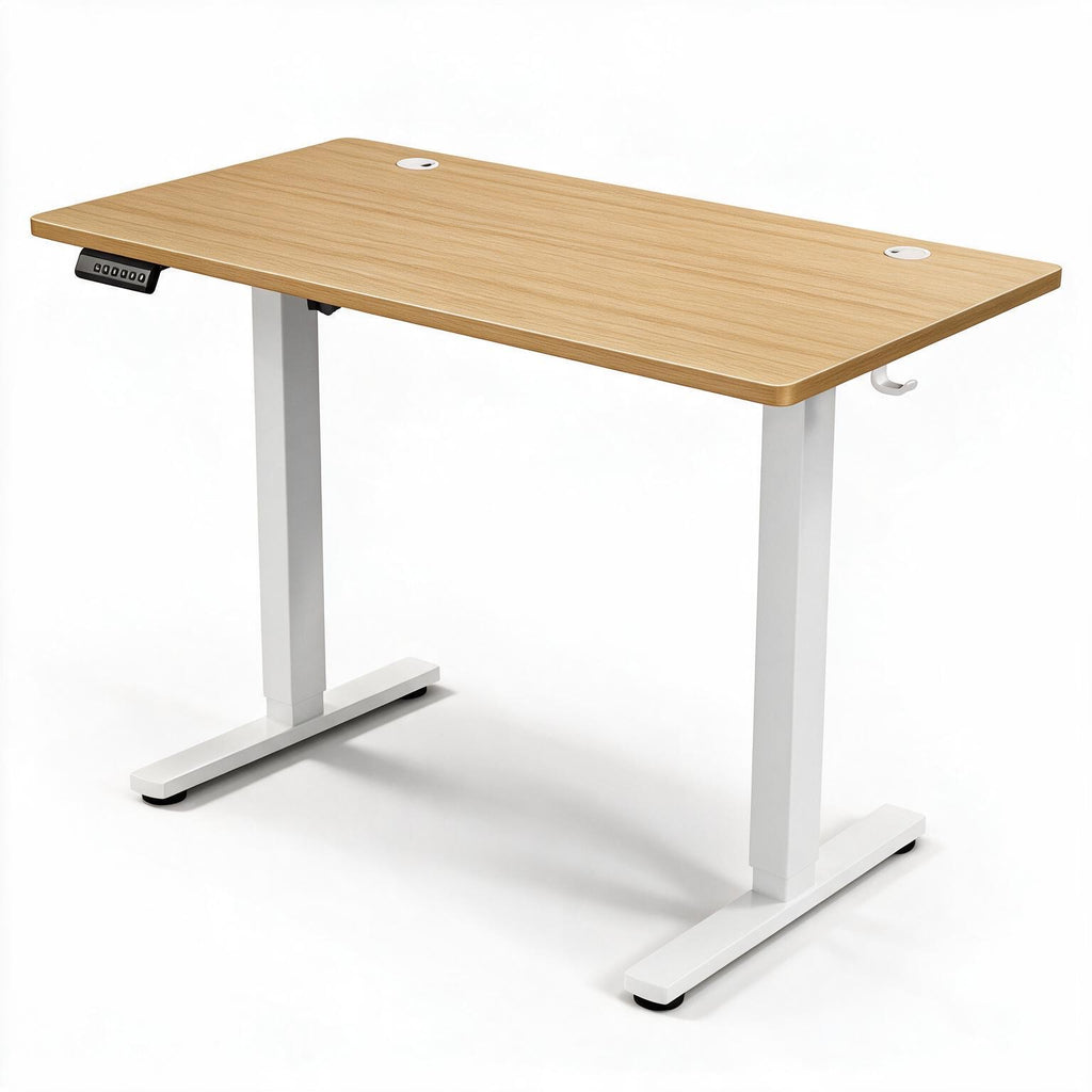 Electric Standing Desk Woodsypro Elevate